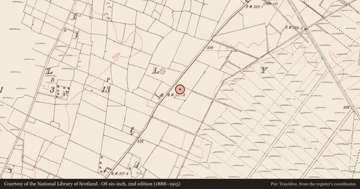 Ordnance Survey six-inch map, 2nd edition (1888–1915) covering the location of Fulacht fia, Tully, County Roscommon, with a pin at the register's coordinates