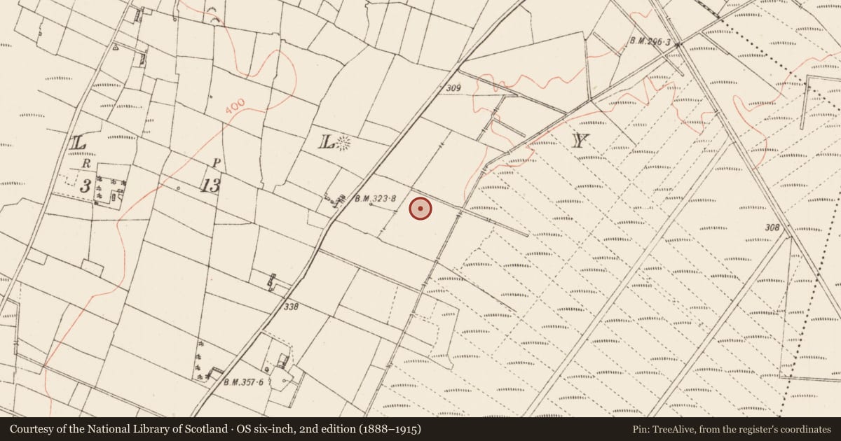 Ordnance Survey six-inch map, 2nd edition (1888–1915) covering the location of Fulacht fia, Tully, County Roscommon, with a pin at the register's coordinates