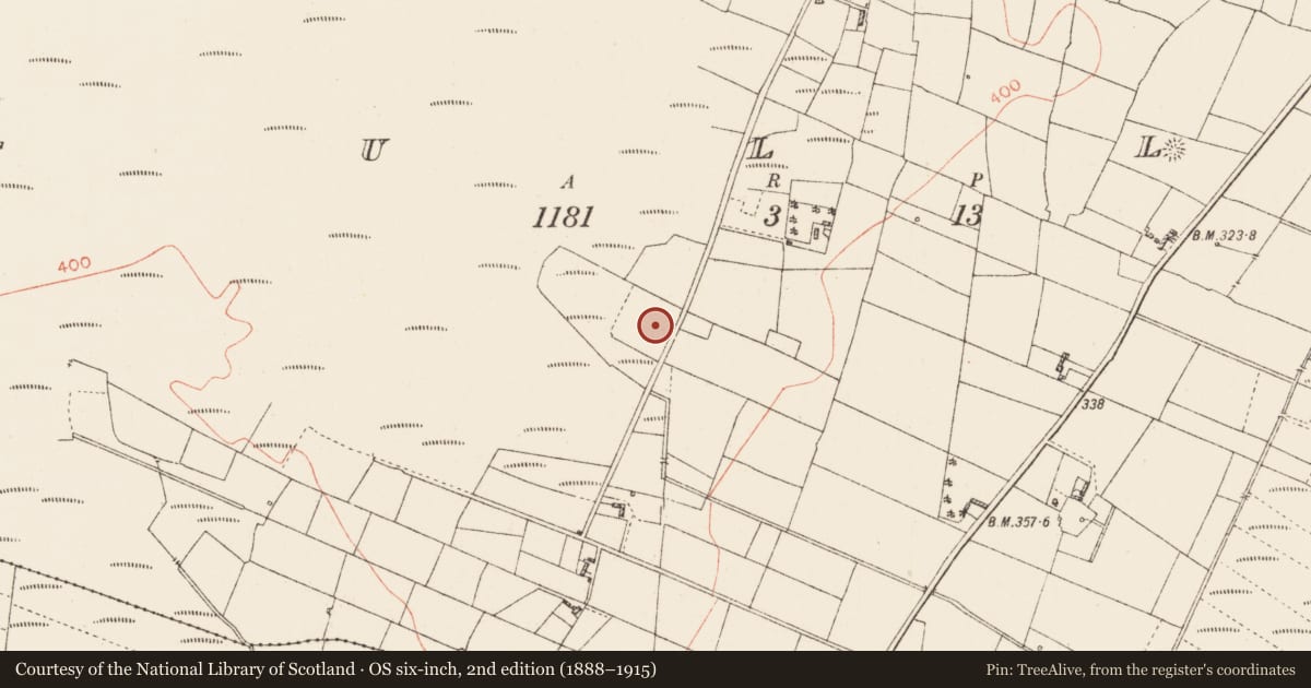 Ordnance Survey six-inch map, 2nd edition (1888–1915) covering the location of Enclosure, Tully, County Roscommon, with a pin at the register's coordinates
