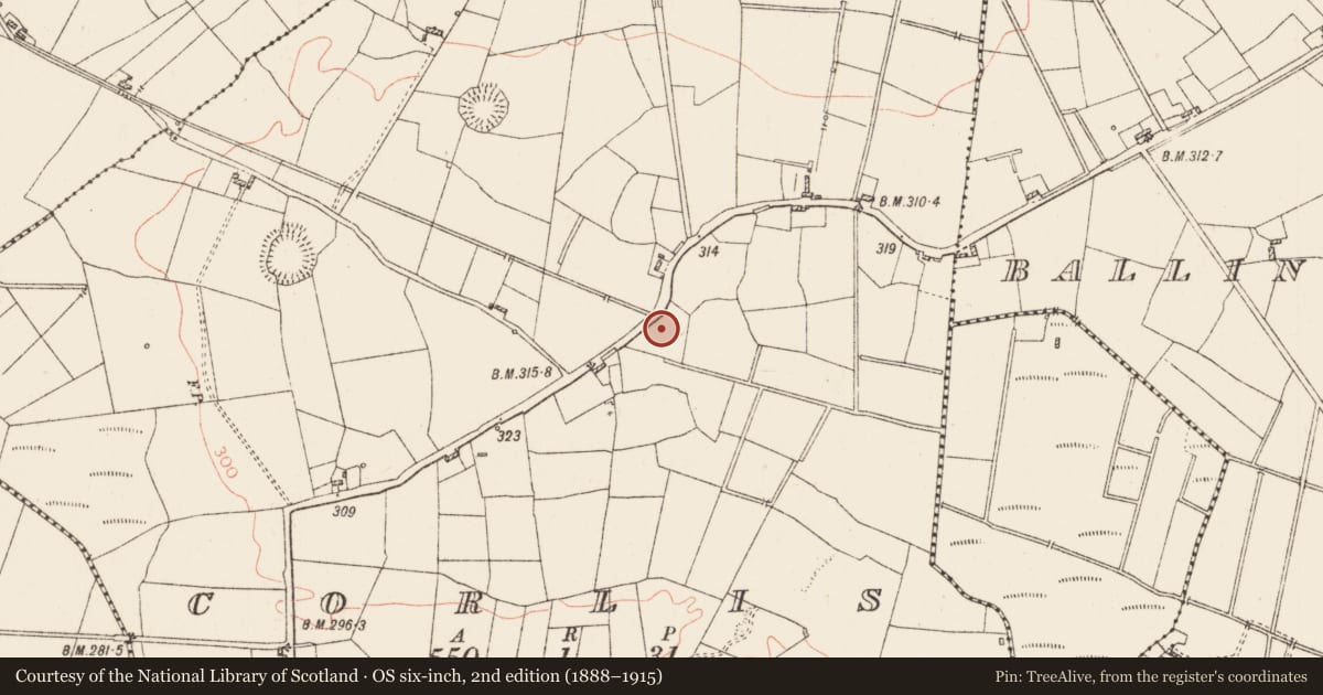 Ordnance Survey six-inch map, 2nd edition (1888–1915) covering the location of Barrow - mound barrow, Corlis, County Roscommon, with a pin at the register's coordinates