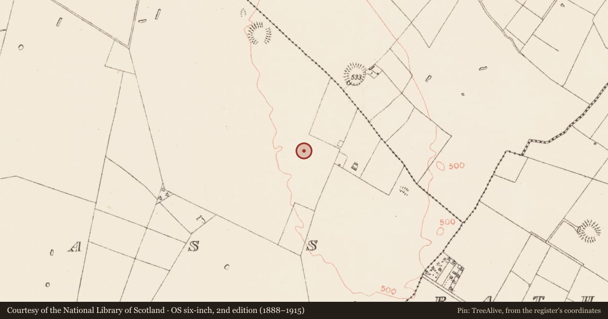 Ordnance Survey six-inch map, 2nd edition (1888–1915) covering the location of Enclosure, Ballyglass, County Roscommon, with a pin at the register's coordinates