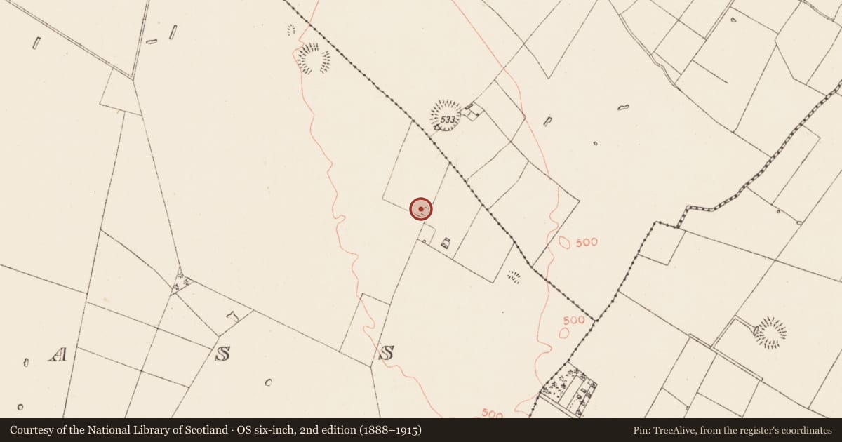 Ordnance Survey six-inch map, 2nd edition (1888–1915) covering the location of Enclosure, Ballyglass, County Roscommon, with a pin at the register's coordinates