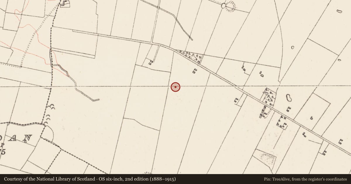Ordnance Survey six-inch map, 2nd edition (1888–1915) covering the location of Field system, Lissalway, County Roscommon, with a pin at the register's coordinates