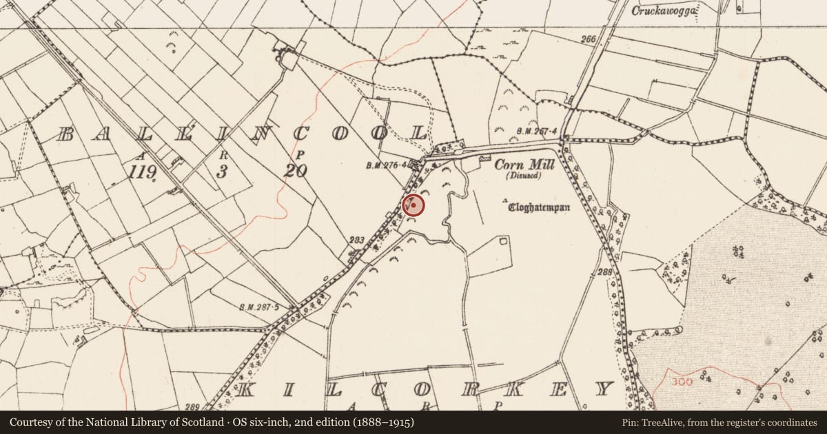 Ordnance Survey six-inch map, 2nd edition (1888–1915) covering the location of Standing stone, Kilcorkey, County Roscommon, with a pin at the register's coordinates