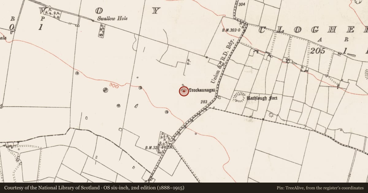 Ordnance Survey six-inch map, 2nd edition (1888–1915) covering the location of Ringfort - rath, Kilvoy, County Roscommon, with a pin at the register's coordinates