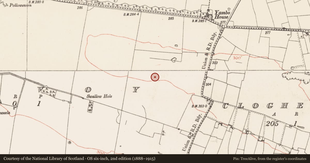 Ordnance Survey six-inch map, 2nd edition (1888–1915) covering the location of Pitfield, Kilvoy, County Roscommon, with a pin at the register's coordinates