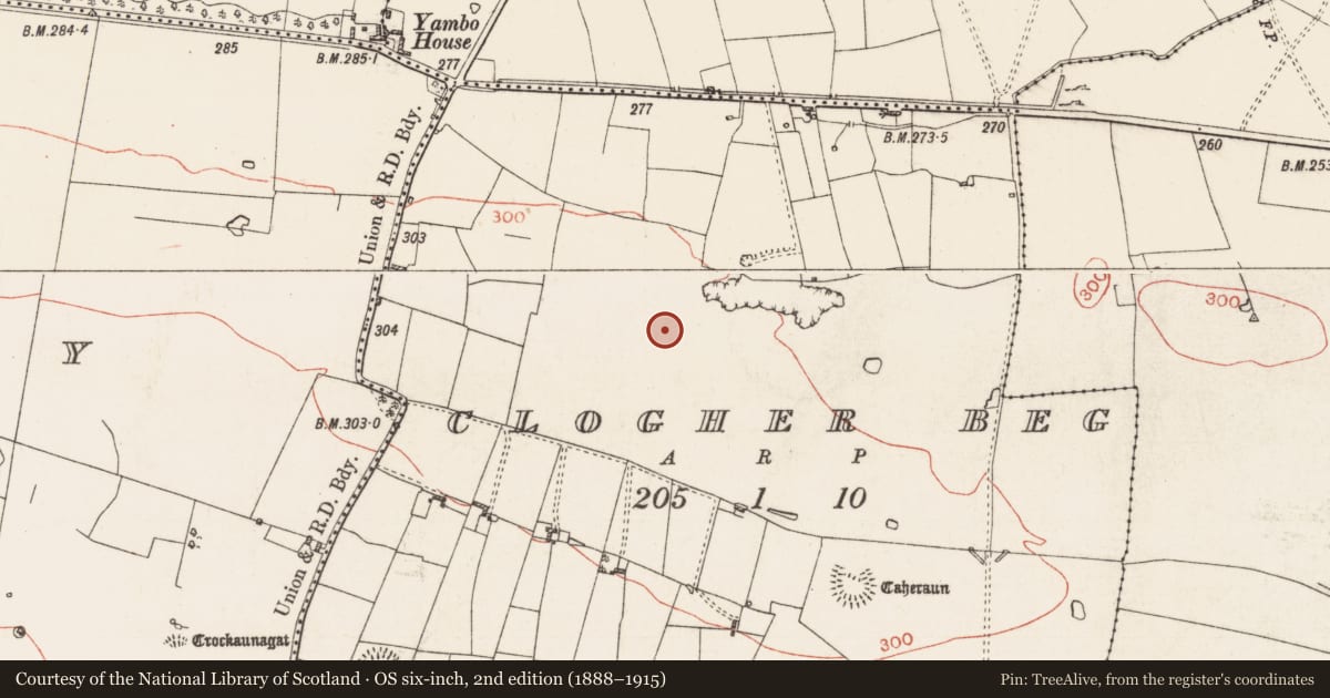 Ordnance Survey six-inch map, 2nd edition (1888–1915) covering the location of Field system, Clogher Beg, County Roscommon, with a pin at the register's coordinates