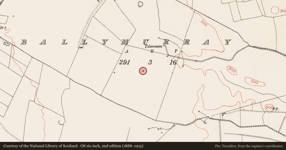 Ordnance Survey six-inch map, 2nd edition (1888–1915) covering the location of Field system, Ballymurray, County Roscommon, with a pin at the register's coordinates