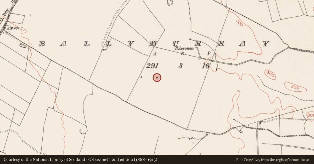 Ordnance Survey six-inch map, 2nd edition (1888–1915) covering the location of Enclosure, Ballymurray, County Roscommon, with a pin at the register's coordinates