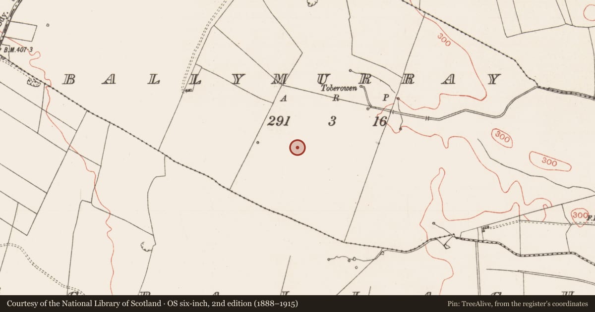 Ordnance Survey six-inch map, 2nd edition (1888–1915) covering the location of Enclosure, Ballymurray, County Roscommon, with a pin at the register's coordinates