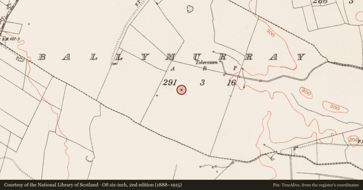 Ordnance Survey six-inch map, 2nd edition (1888–1915) covering the location of Mound, Ballymurray, County Roscommon, with a pin at the register's coordinates