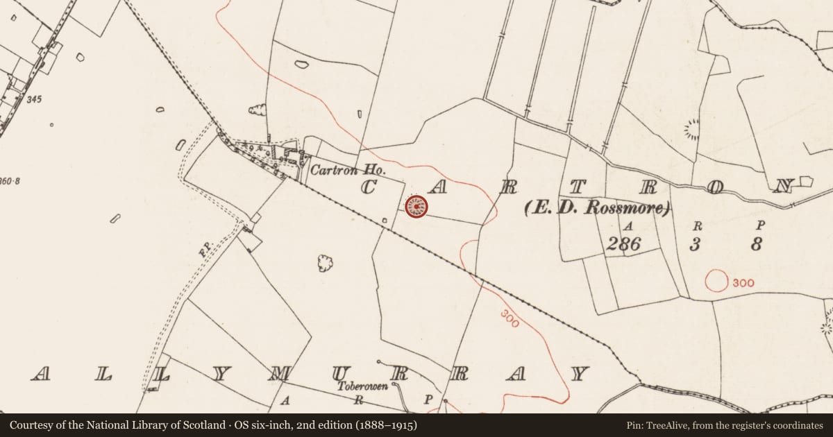 Ordnance Survey six-inch map, 2nd edition (1888–1915) covering the location of Ringfort - rath, Cartron, County Roscommon, with a pin at the register's coordinates
