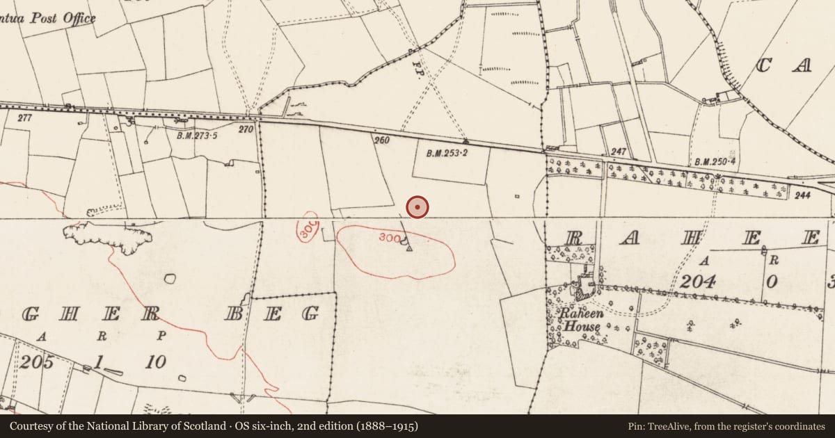 Ordnance Survey six-inch map, 2nd edition (1888–1915) covering the location of Pitfield, Clogher More, County Roscommon, with a pin at the register's coordinates