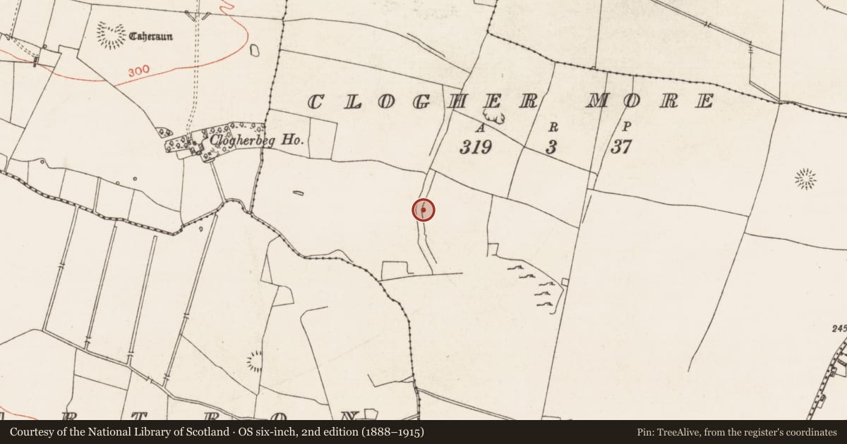Ordnance Survey six-inch map, 2nd edition (1888–1915) covering the location of Road - road/trackway, Clogher More, County Roscommon, with a pin at the register's coordinates