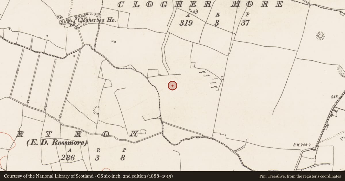 Ordnance Survey six-inch map, 2nd edition (1888–1915) covering the location of Field system, Cartron, Clogher More, County Roscommon, with a pin at the register's coordinates