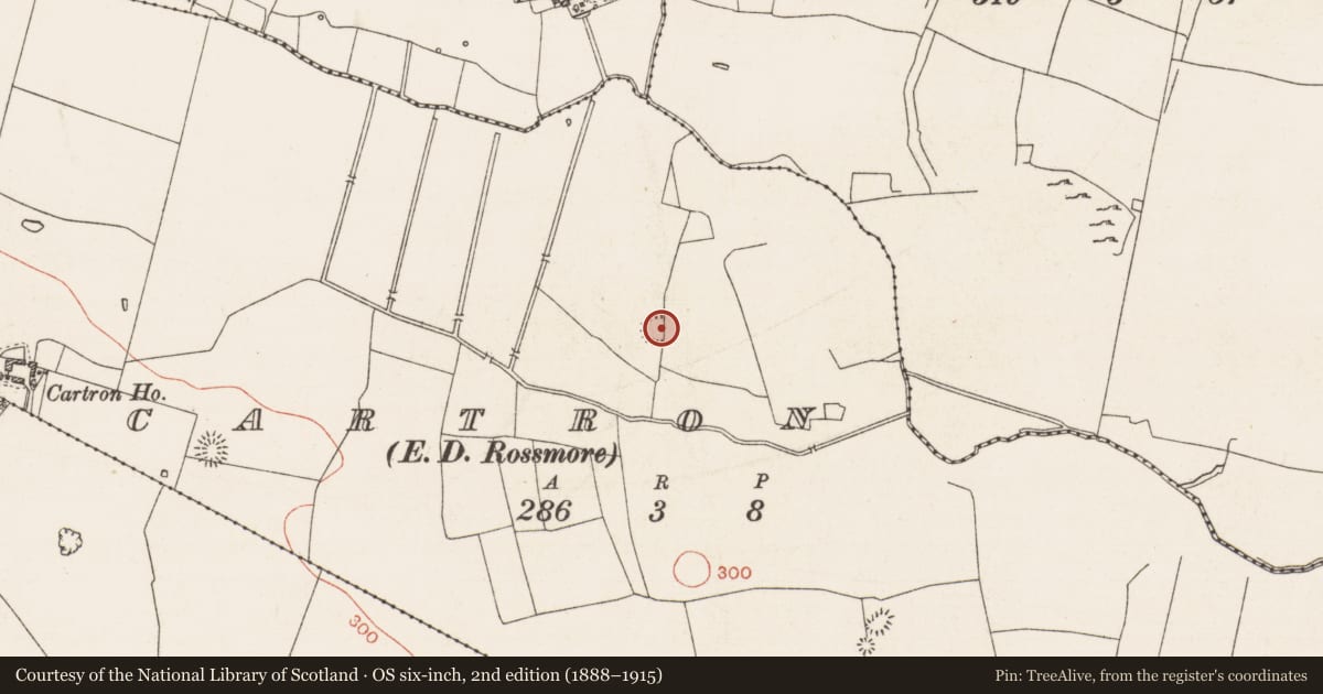 Ordnance Survey six-inch map, 2nd edition (1888–1915) covering the location of Ringfort - rath, Cartron, County Roscommon, with a pin at the register's coordinates