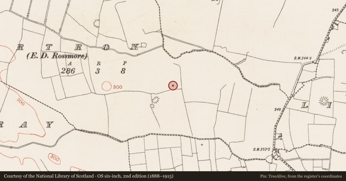 Ordnance Survey six-inch map, 2nd edition (1888–1915) covering the location of Ritual site - holy/saint's stone, Cartron, County Roscommon, with a pin at the register's coordinates