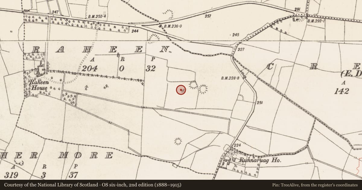 Ordnance Survey six-inch map, 2nd edition (1888–1915) covering the location of Ringfort - rath, Raheen, County Roscommon, with a pin at the register's coordinates