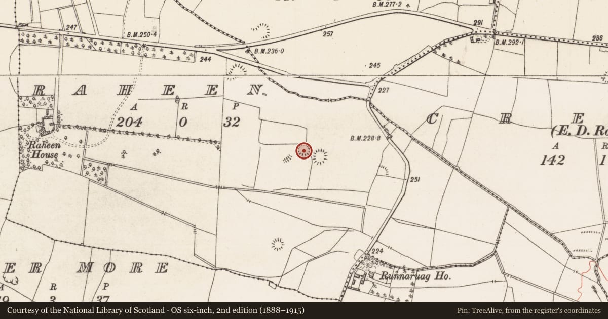 Ordnance Survey six-inch map, 2nd edition (1888–1915) covering the location of Ringfort - rath, Raheen, County Roscommon, with a pin at the register's coordinates