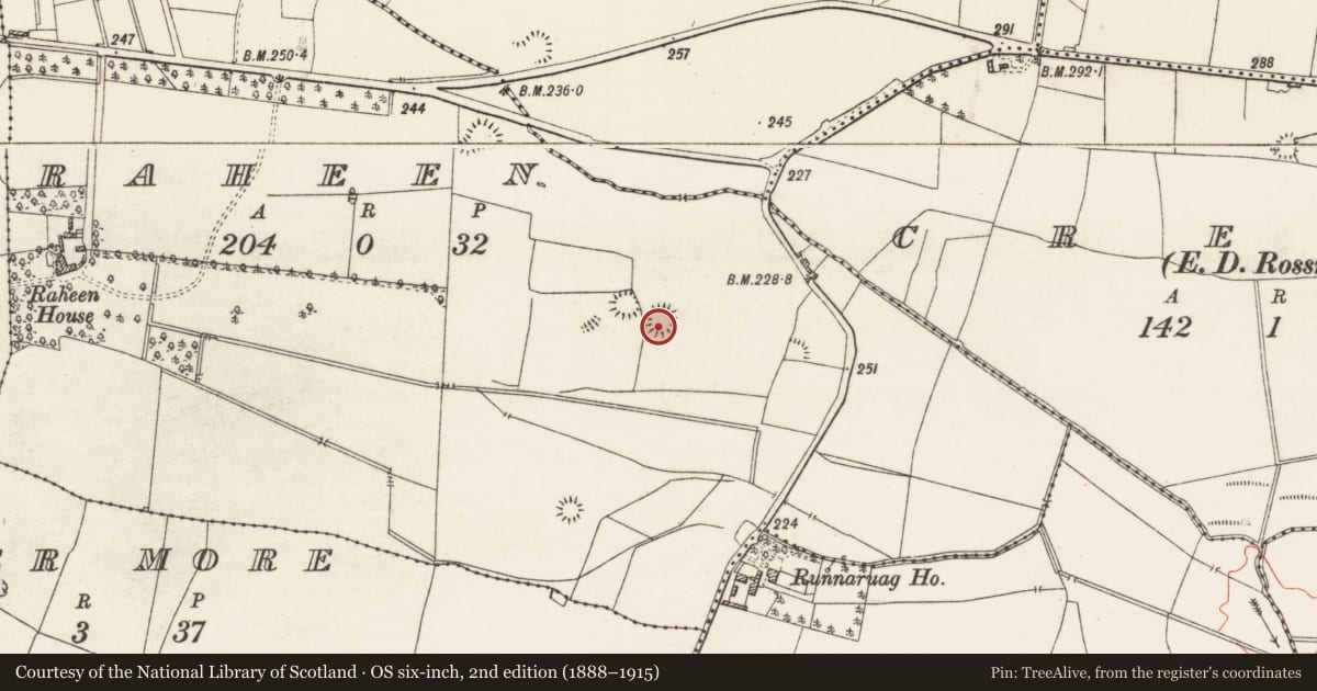 Ordnance Survey six-inch map, 2nd edition (1888–1915) covering the location of Ringfort - rath, Raheen, County Roscommon, with a pin at the register's coordinates