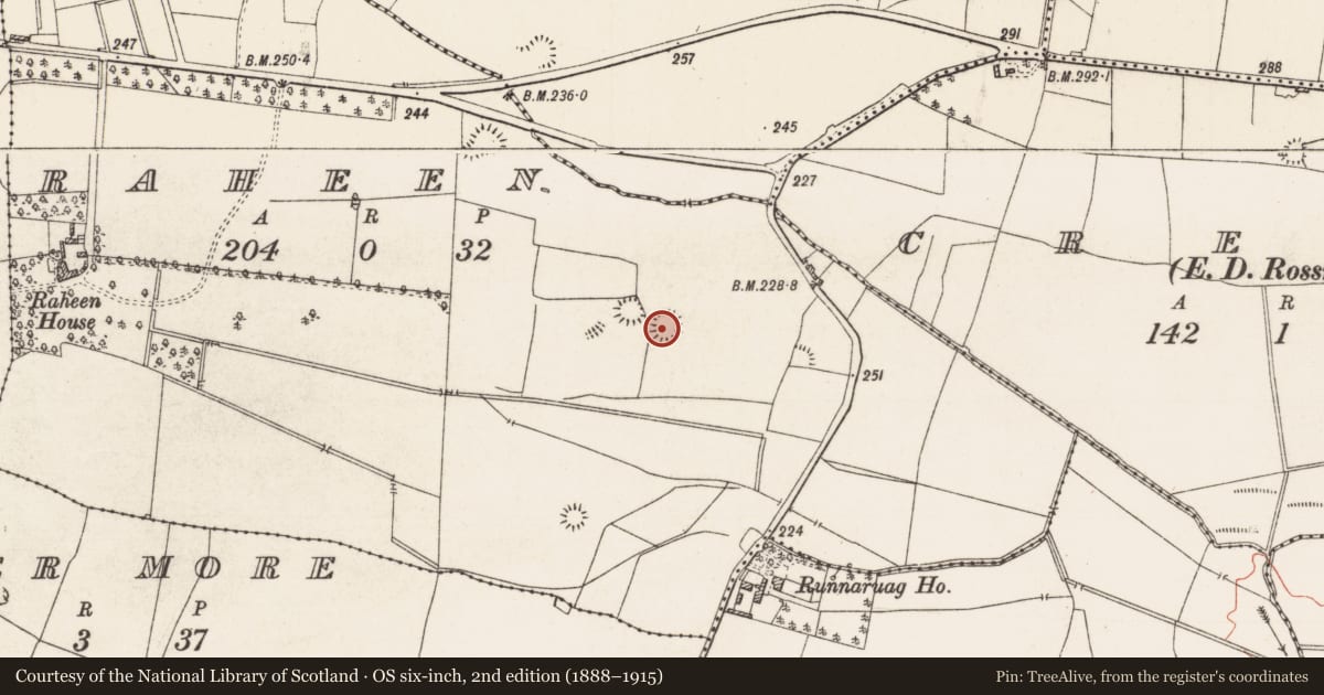 Ordnance Survey six-inch map, 2nd edition (1888–1915) covering the location of House - indeterminate date, Raheen, County Roscommon, with a pin at the register's coordinates