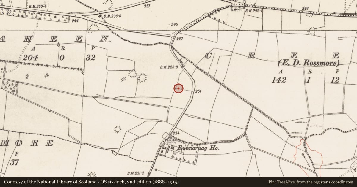 Ordnance Survey six-inch map, 2nd edition (1888–1915) covering the location of Ringfort - rath, Raheen, County Roscommon, with a pin at the register's coordinates
