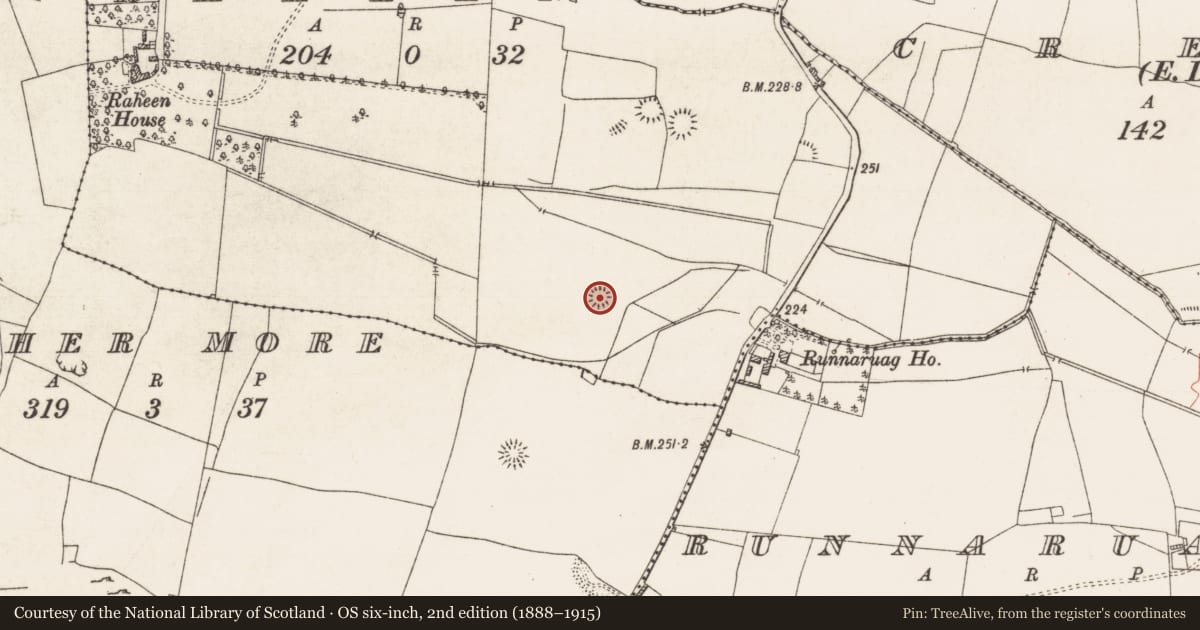 Ordnance Survey six-inch map, 2nd edition (1888–1915) covering the location of Ringfort - rath, Raheen, County Roscommon, with a pin at the register's coordinates