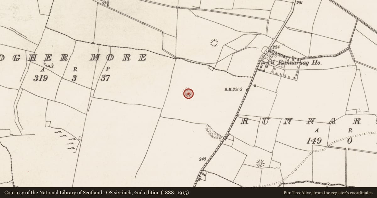 Ordnance Survey six-inch map, 2nd edition (1888–1915) covering the location of Ringfort - rath, Clogher More, County Roscommon, with a pin at the register's coordinates