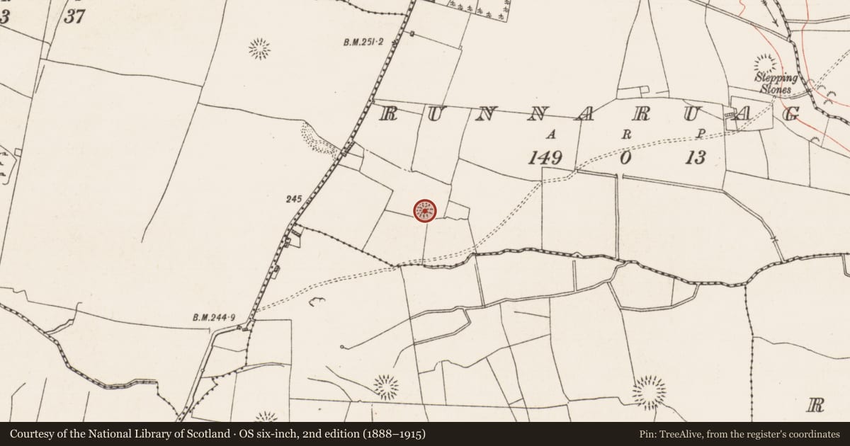 Ordnance Survey six-inch map, 2nd edition (1888–1915) covering the location of Ringfort - rath, Runnaruag, County Roscommon, with a pin at the register's coordinates