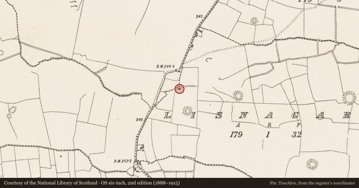 Ordnance Survey six-inch map, 2nd edition (1888–1915) covering the location of Road - road/trackway, Clogher More, Lisnagard, County Roscommon, with a pin at the register's coordinates