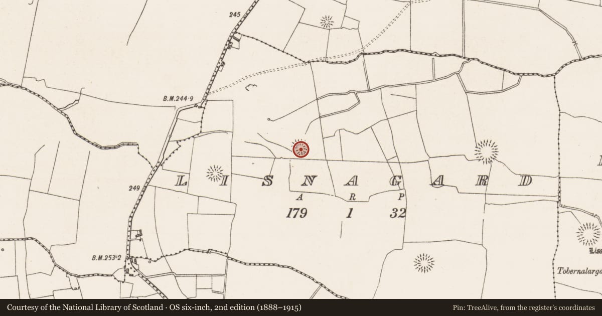 Ordnance Survey six-inch map, 2nd edition (1888–1915) covering the location of Ringfort - rath, Lisnagard, County Roscommon, with a pin at the register's coordinates