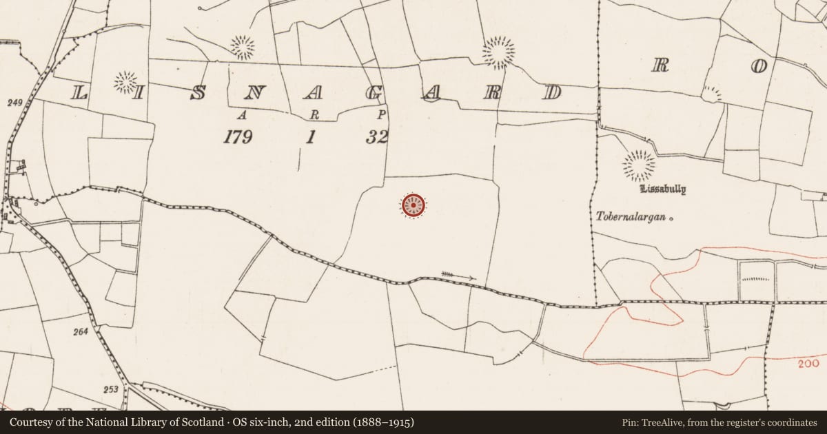 Ordnance Survey six-inch map, 2nd edition (1888–1915) covering the location of Ringfort - rath, Lisnagard, County Roscommon, with a pin at the register's coordinates