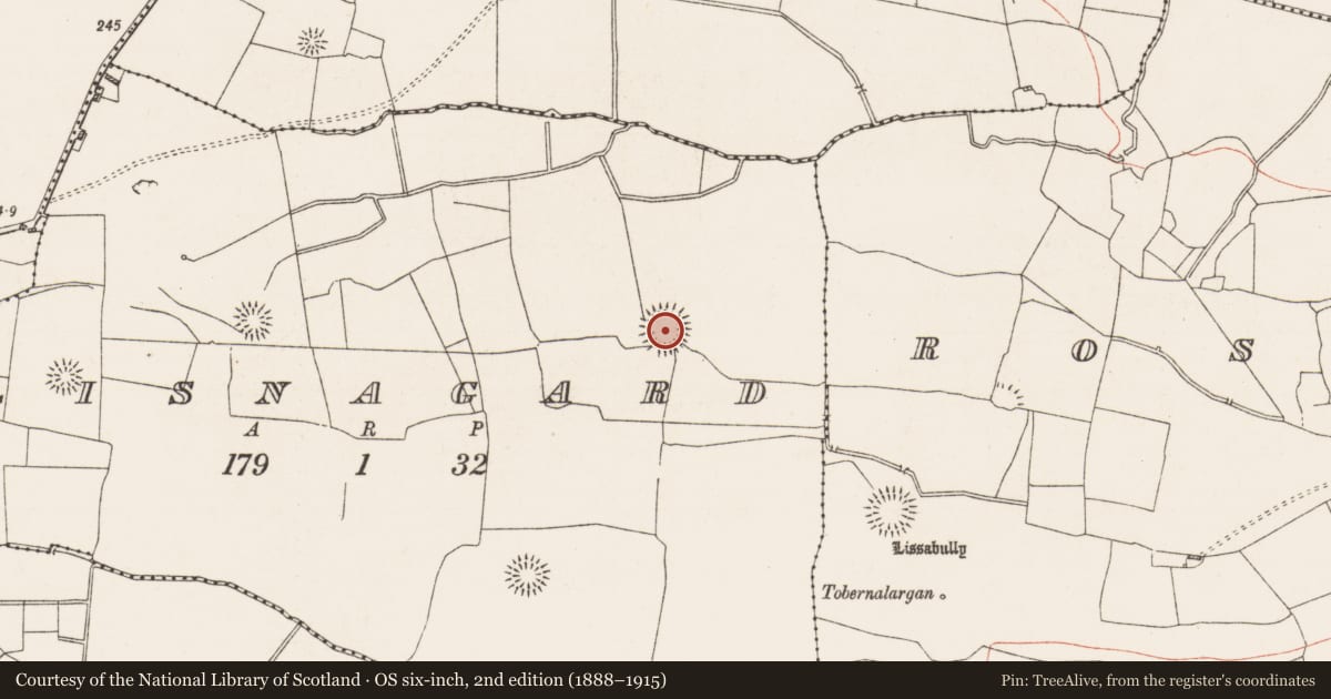 Ordnance Survey six-inch map, 2nd edition (1888–1915) covering the location of Ringfort - rath, Lisnagard, County Roscommon, with a pin at the register's coordinates