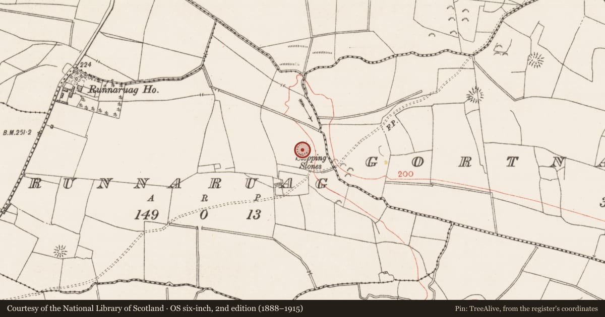 Ordnance Survey six-inch map, 2nd edition (1888–1915) covering the location of Ringfort - rath, Runnaruag, County Roscommon, with a pin at the register's coordinates