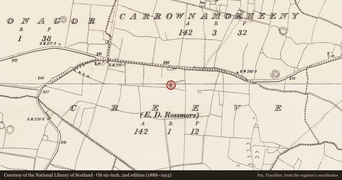 Ordnance Survey six-inch map, 2nd edition (1888–1915) covering the location of Ringfort - rath, Creeve, County Roscommon, with a pin at the register's coordinates