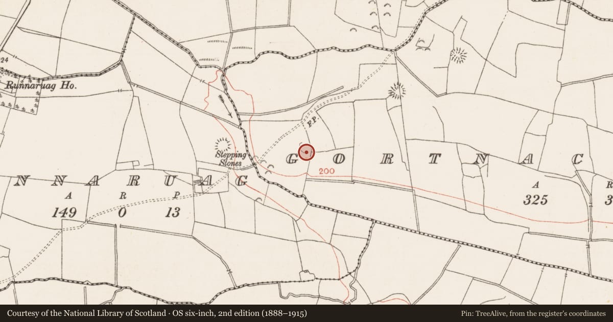 Ordnance Survey six-inch map, 2nd edition (1888–1915) covering the location of Standing stone, Gortnacrannagh, County Roscommon, with a pin at the register's coordinates
