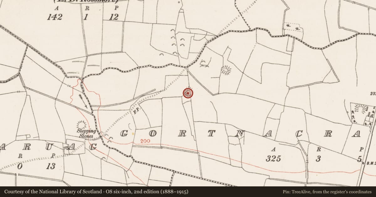 Ordnance Survey six-inch map, 2nd edition (1888–1915) covering the location of Ringfort - rath, Gortnacrannagh, County Roscommon, with a pin at the register's coordinates