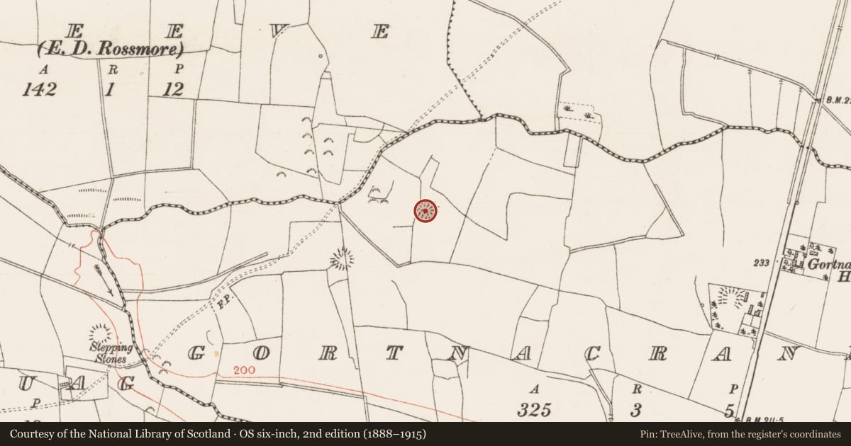Ordnance Survey six-inch map, 2nd edition (1888–1915) covering the location of Ringfort - rath, Gortnacrannagh, County Roscommon, with a pin at the register's coordinates