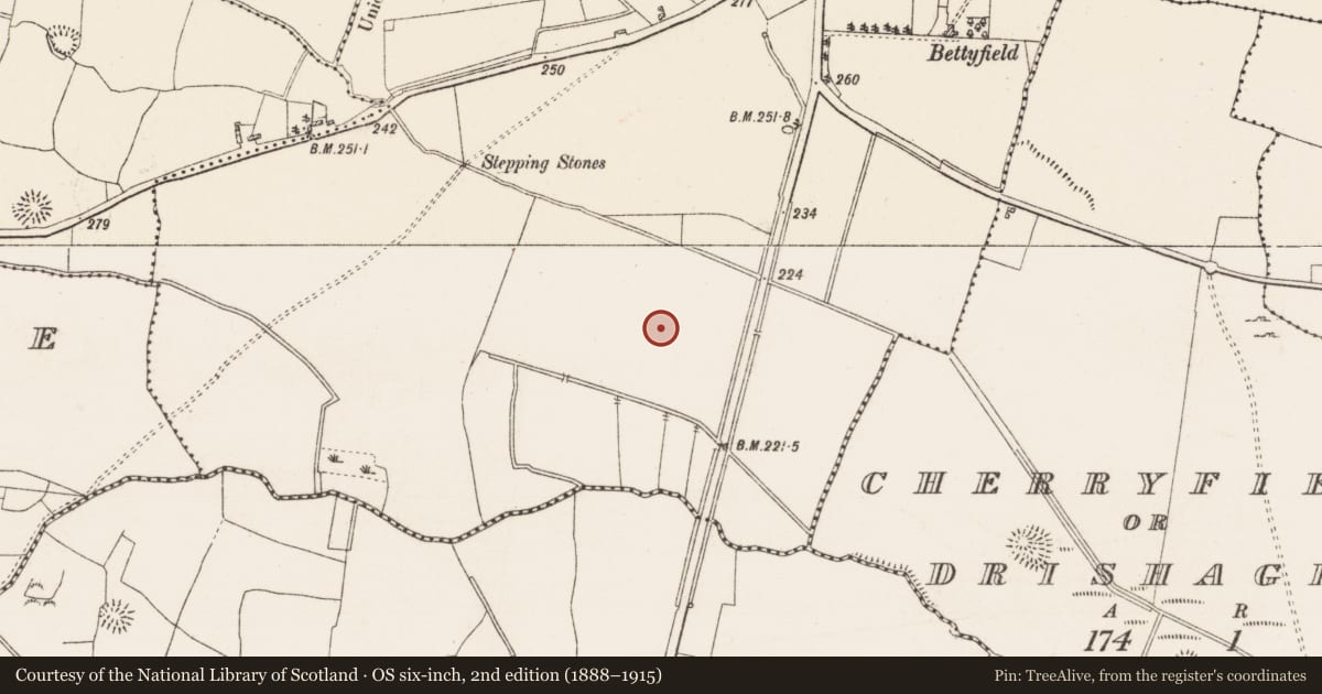 Ordnance Survey six-inch map, 2nd edition (1888–1915) covering the location of Field system, Shankill, County Roscommon, with a pin at the register's coordinates