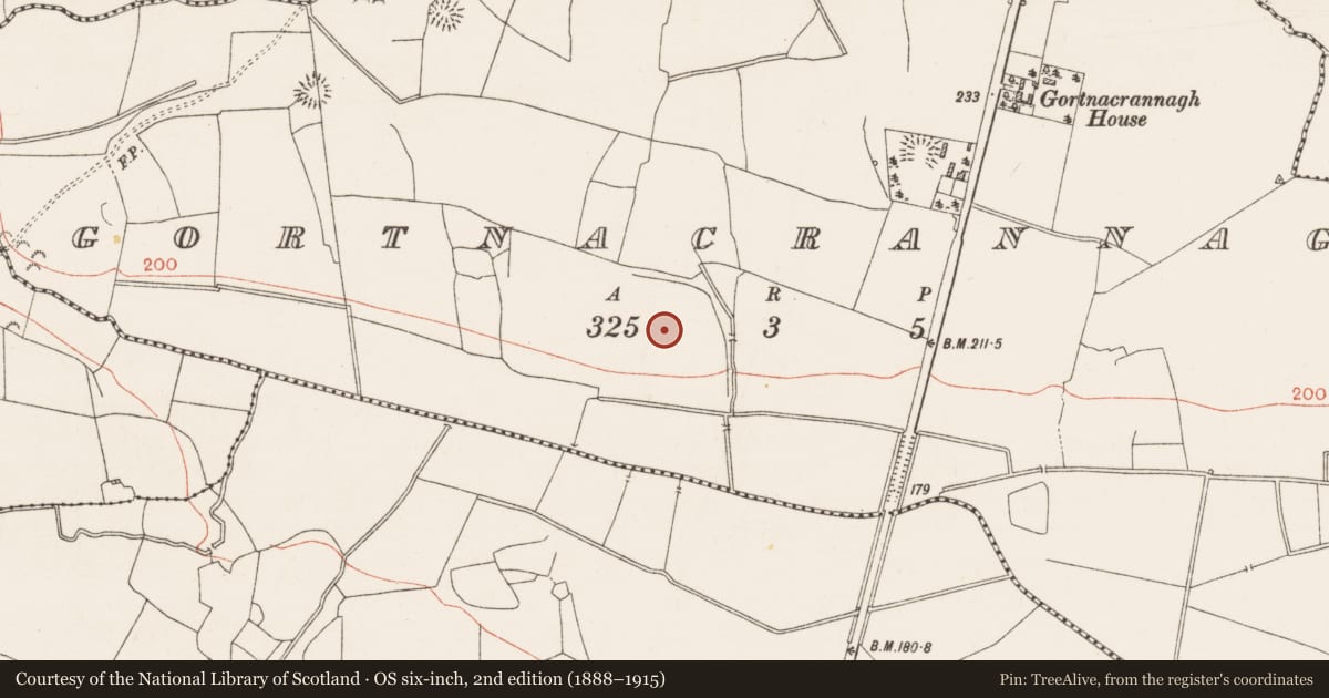 Ordnance Survey six-inch map, 2nd edition (1888–1915) covering the location of Pitfield, Gortnacrannagh, County Roscommon, with a pin at the register's coordinates