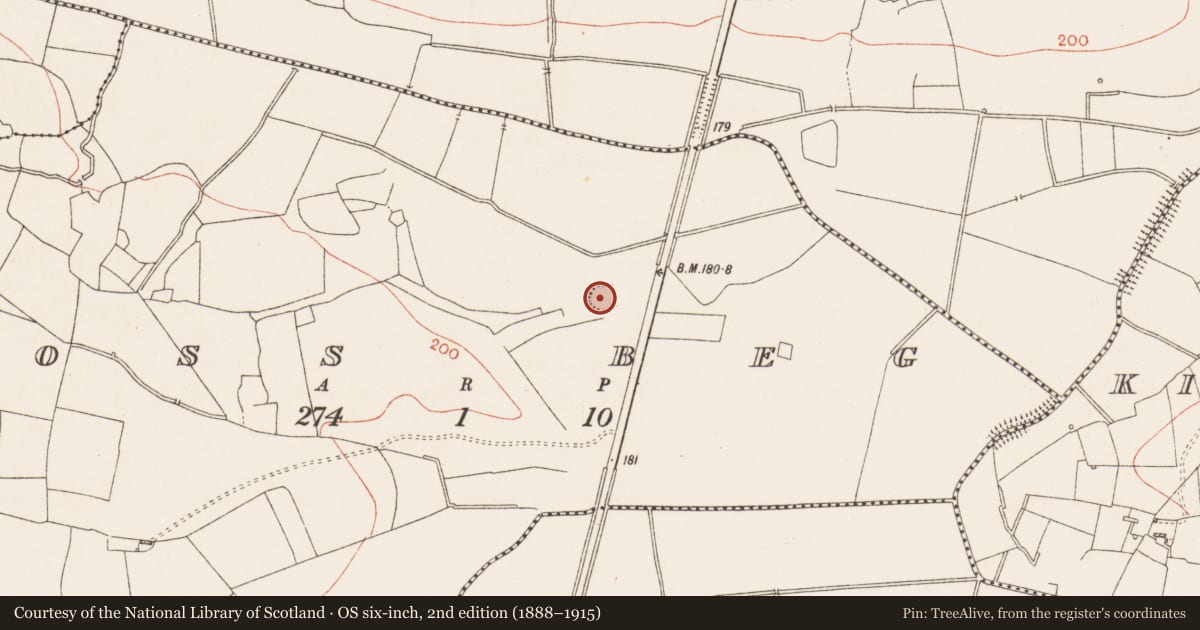 Ordnance Survey six-inch map, 2nd edition (1888–1915) covering the location of Ringfort - rath, Ross Beg, County Roscommon, with a pin at the register's coordinates