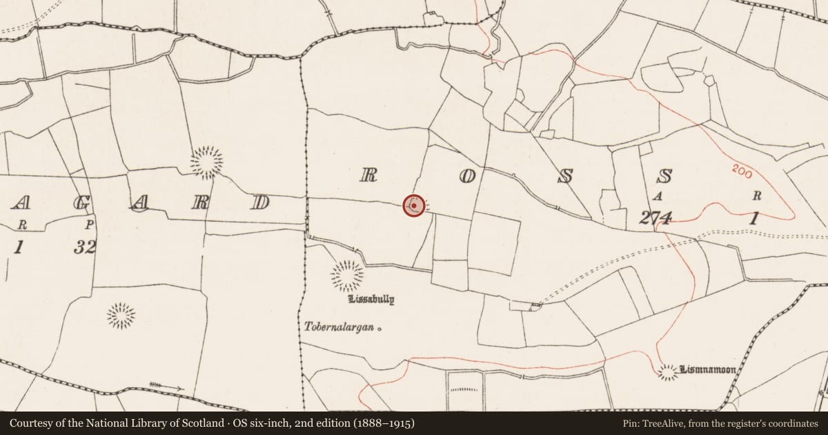 Ordnance Survey six-inch map, 2nd edition (1888–1915) covering the location of Ringfort - rath, Ross Beg, County Roscommon, with a pin at the register's coordinates