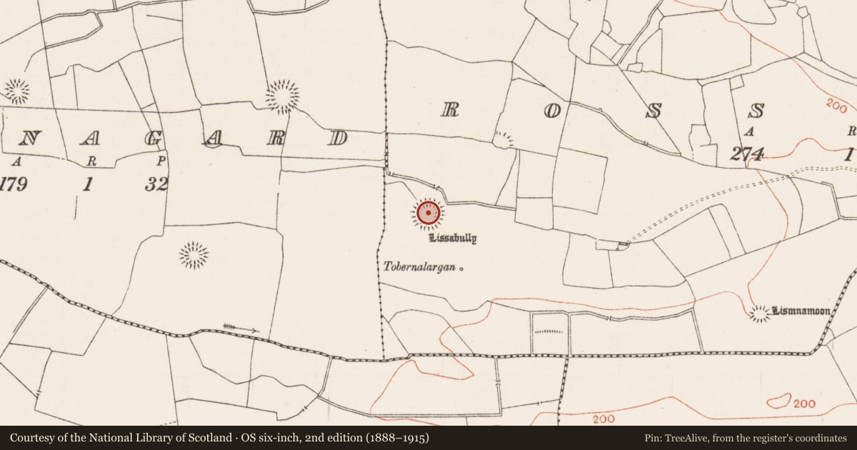 Ordnance Survey six-inch map, 2nd edition (1888–1915) covering the location of Ringfort - rath, Ross Beg, County Roscommon, with a pin at the register's coordinates
