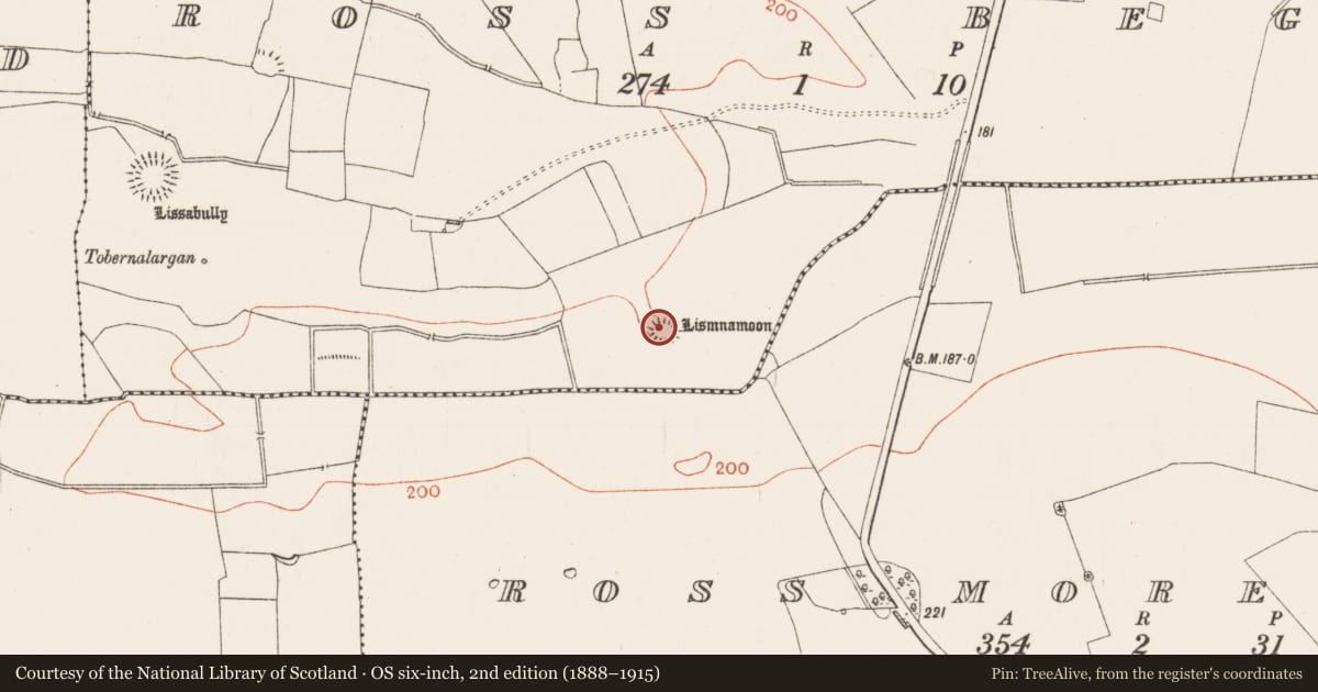 Ordnance Survey six-inch map, 2nd edition (1888–1915) covering the location of Cairn - unclassified, Ross Beg, County Roscommon, with a pin at the register's coordinates