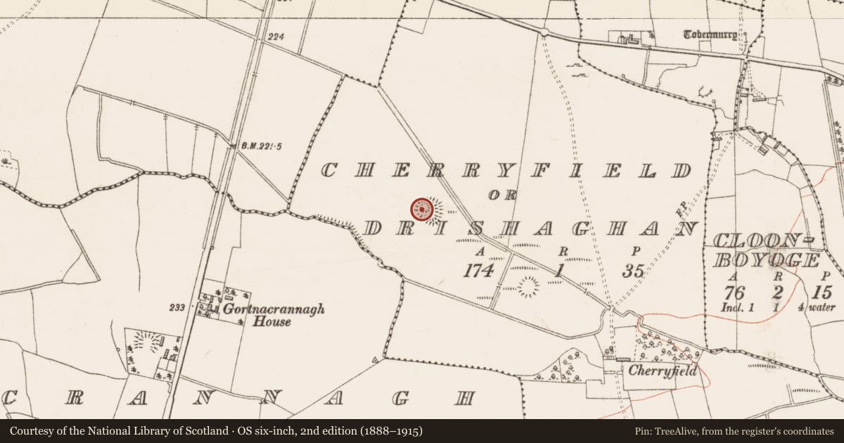 Ordnance Survey six-inch map, 2nd edition (1888–1915) covering the location of Ringfort - rath, Cherryfield Or Drishaghan, County Roscommon, with a pin at the register's coordinates