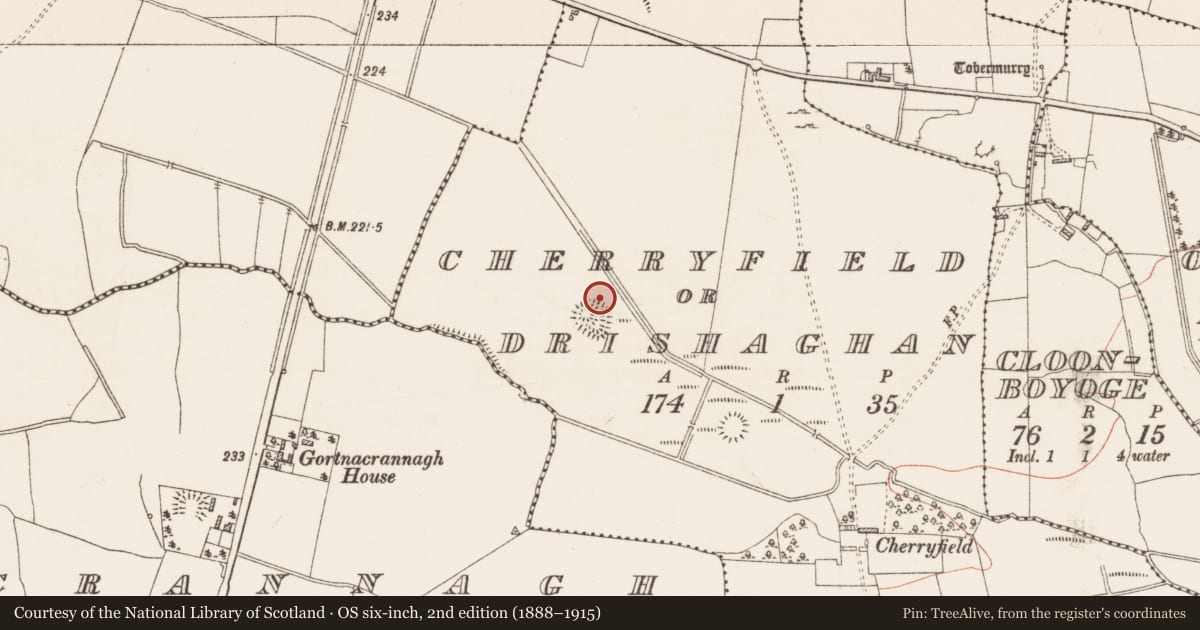 Ordnance Survey six-inch map, 2nd edition (1888–1915) covering the location of Field boundary, Cherryfield Or Drishaghan, County Roscommon, with a pin at the register's coordinates