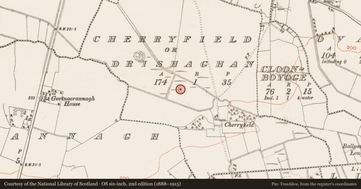 Ordnance Survey six-inch map, 2nd edition (1888–1915) covering the location of Ringfort - rath, Cherryfield Or Drishaghan, County Roscommon, with a pin at the register's coordinates