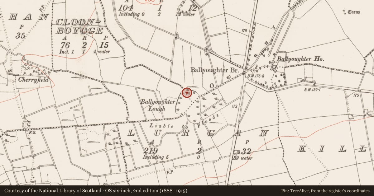 Ordnance Survey six-inch map, 2nd edition (1888–1915) covering the location of Crannog, Ovaun, County Roscommon, with a pin at the register's coordinates