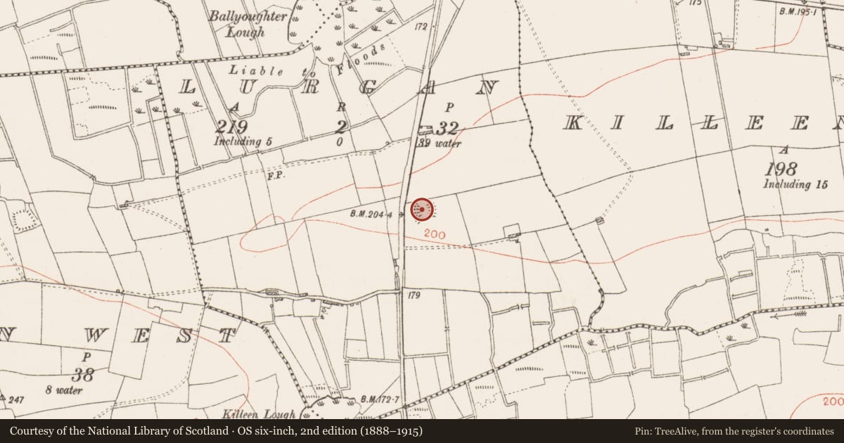 Ordnance Survey six-inch map, 2nd edition (1888–1915) covering the location of Ringfort - rath, Lurgan, County Roscommon, with a pin at the register's coordinates
