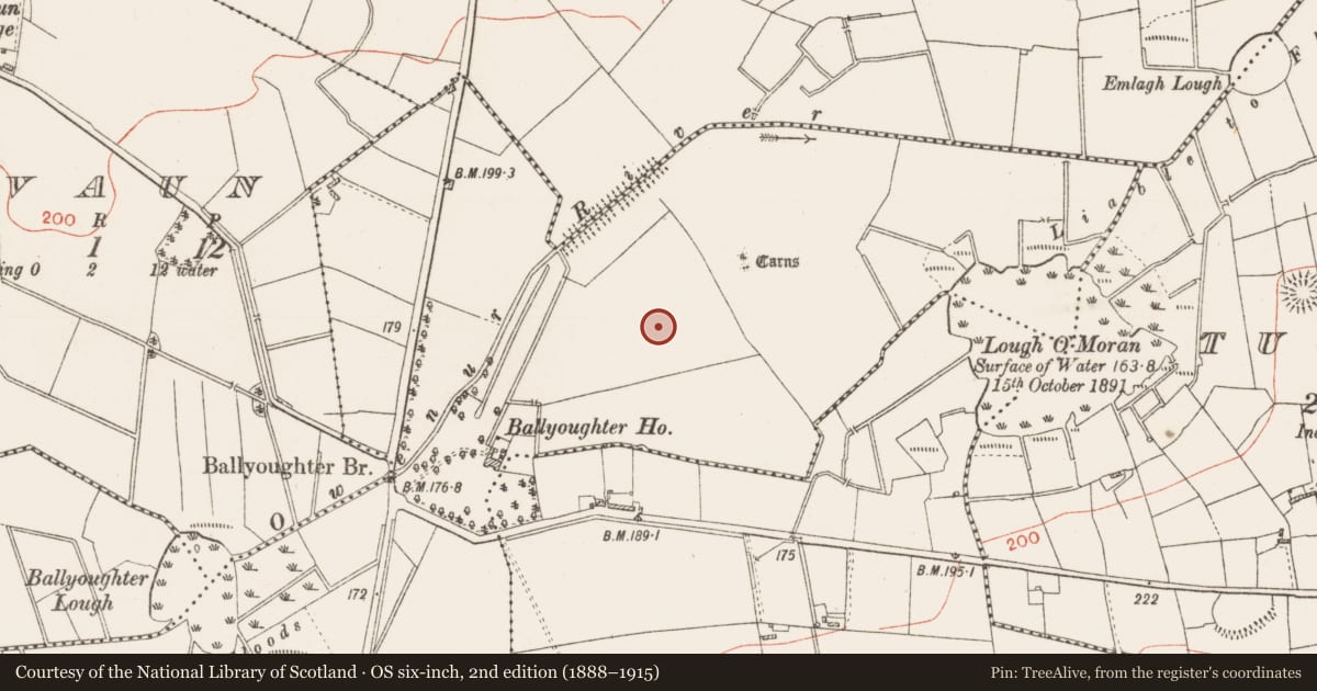 Ordnance Survey six-inch map, 2nd edition (1888–1915) covering the location of Standing stone, Lurgan, County Roscommon, with a pin at the register's coordinates